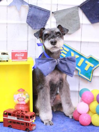 20230416ドンくん